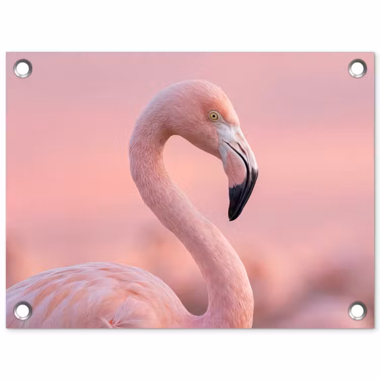 Tuinposter - Flamingo - Portret - Roze — 1