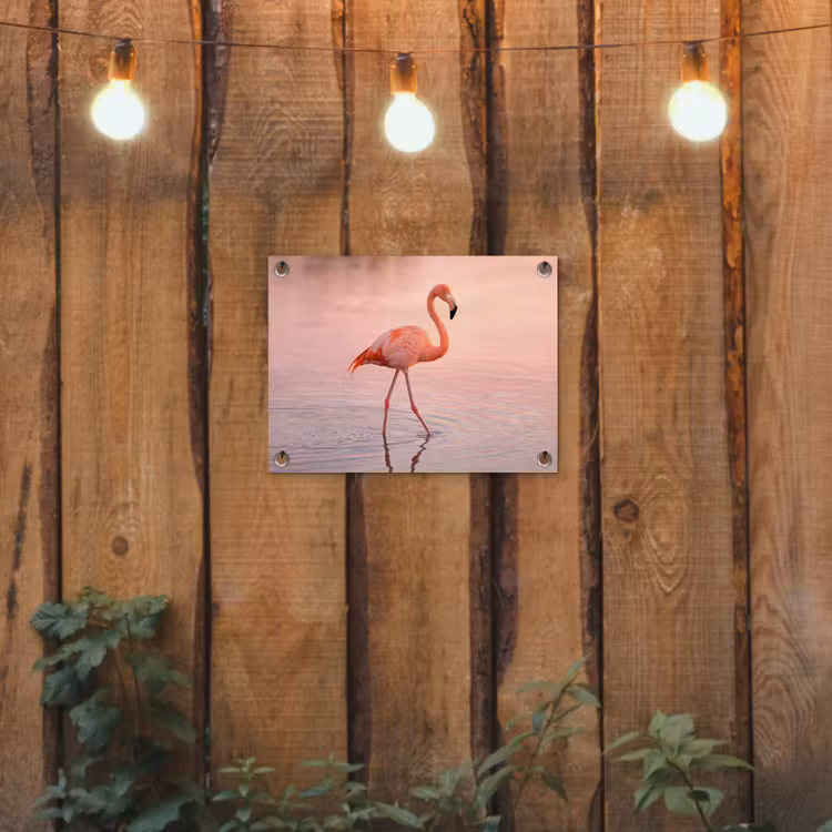 Tuinposter - Flamingo - Water - Roze — 2