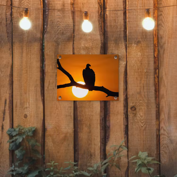 Tuinposter - Gier - Tak - Zon - Oranje — 2