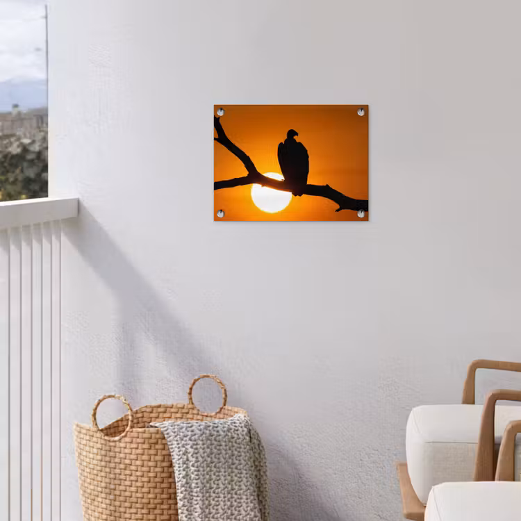 Tuinposter - Gier - Tak - Zon - Oranje — 3