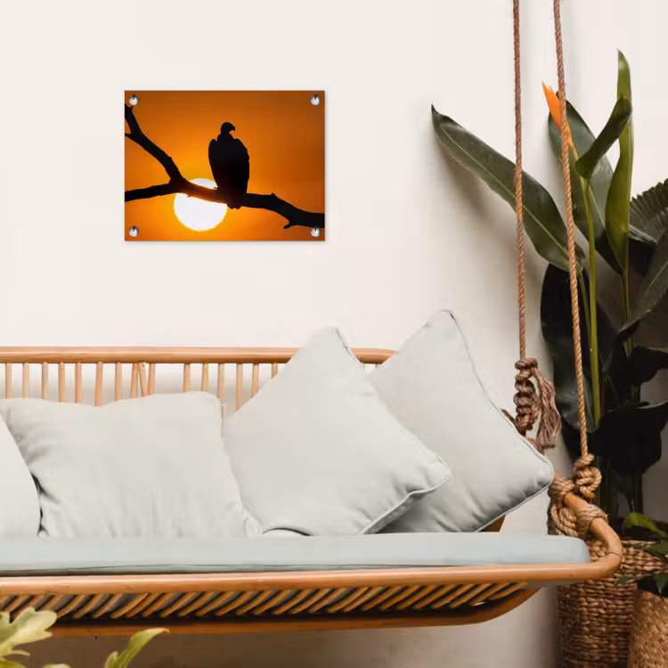 Tuinposter - Gier - Tak - Zon - Oranje — 5
