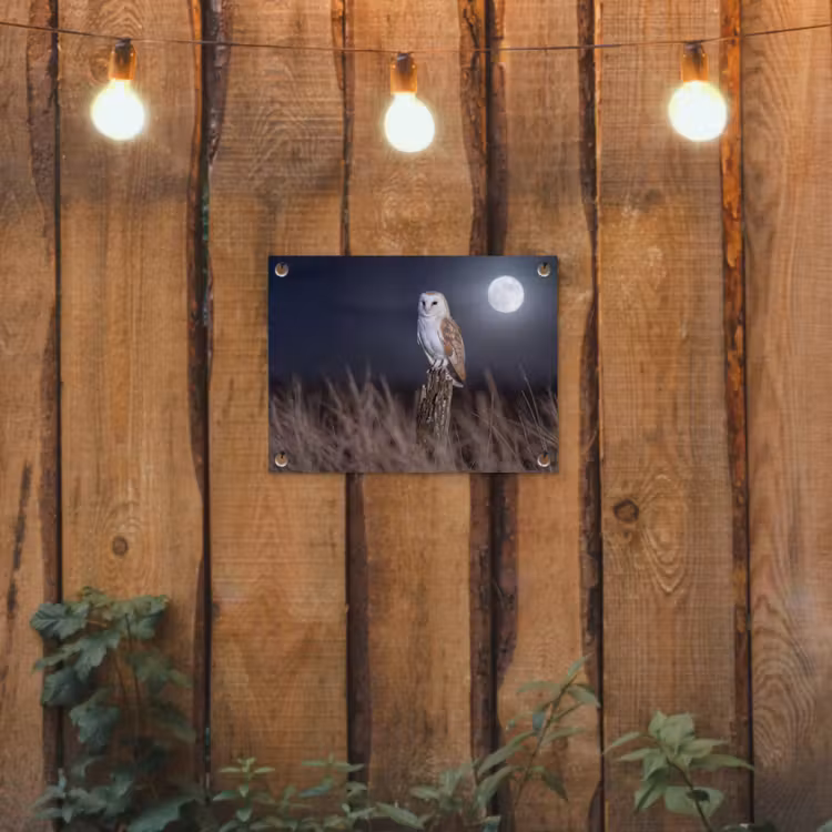 Tuinposter - Kerkuil - Maan - Nacht — 2