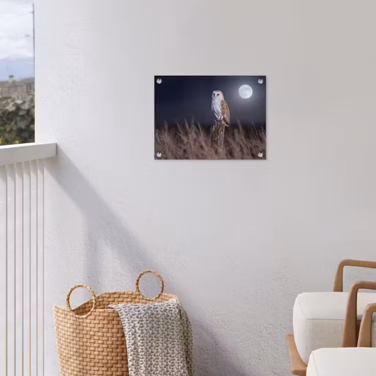 Tuinposter - Kerkuil - Maan - Nacht — 3