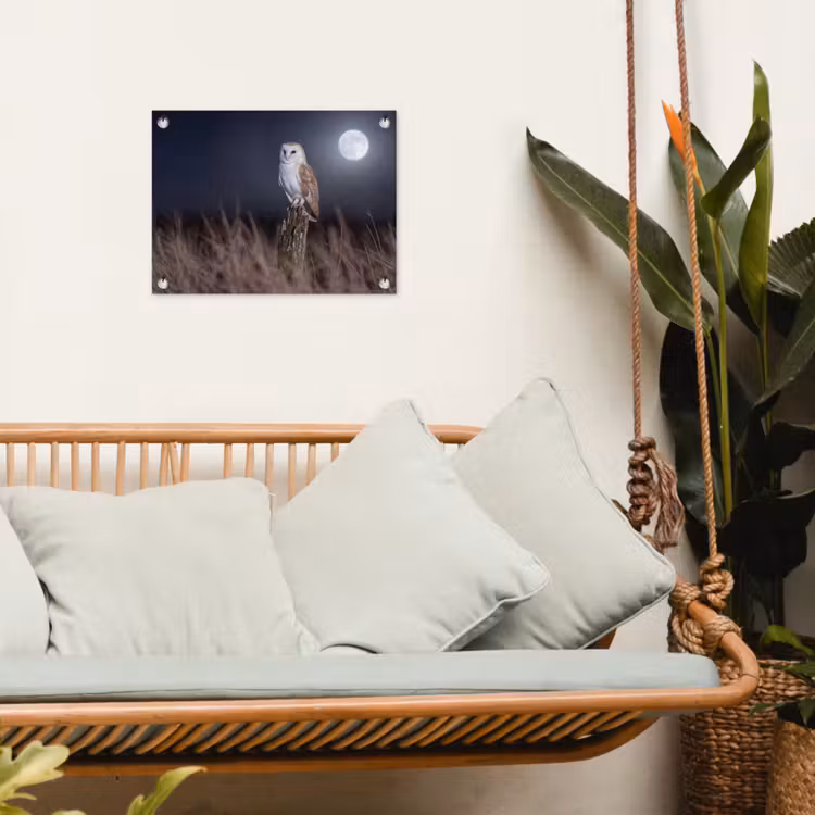 Tuinposter - Kerkuil - Maan - Nacht — 5