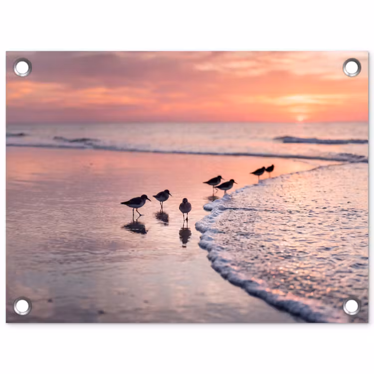 Tuinposter - Meeuwen - Strand - Zee - Roze — 1