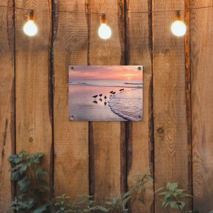 Tuinposter - Meeuwen - Strand - Zee - Roze — 2
