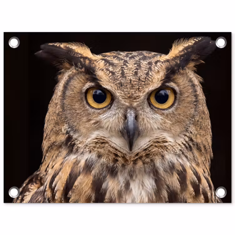 Tuinposter - Oehoe - Uil - Portret - Bruin — 1
