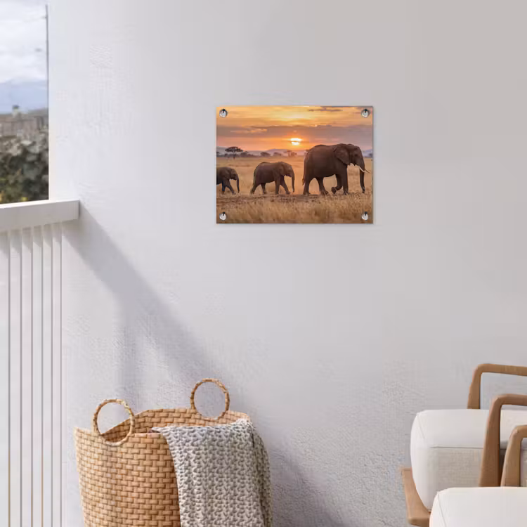 Tuinposter - Olifanten - Savanne - Zonsondergang - Afrika - Warm — 3