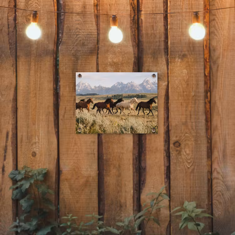 Tuinposter - Paarden - Kudde - Bergen - Vrijheid - Wild — 2