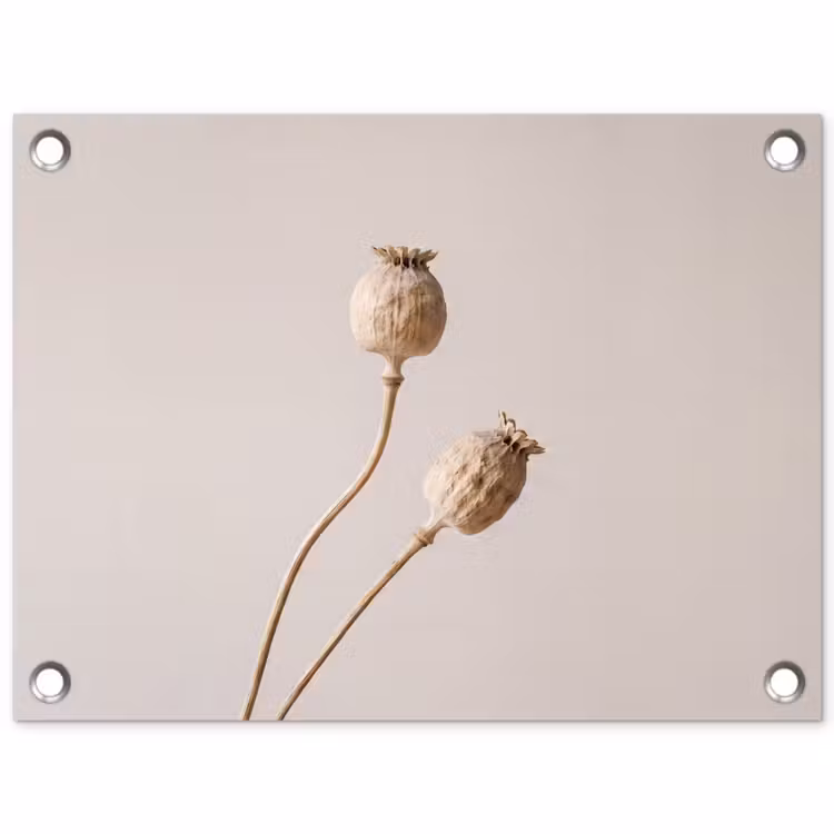 Tuinposter - Papaverbollen - Droogbloemen - Minimalistisch - Beige - Rustig — 1