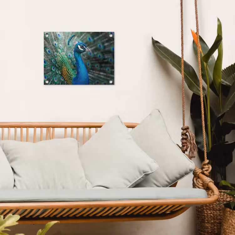 Tuinposter - Pauw - Veren - Blauw — 5