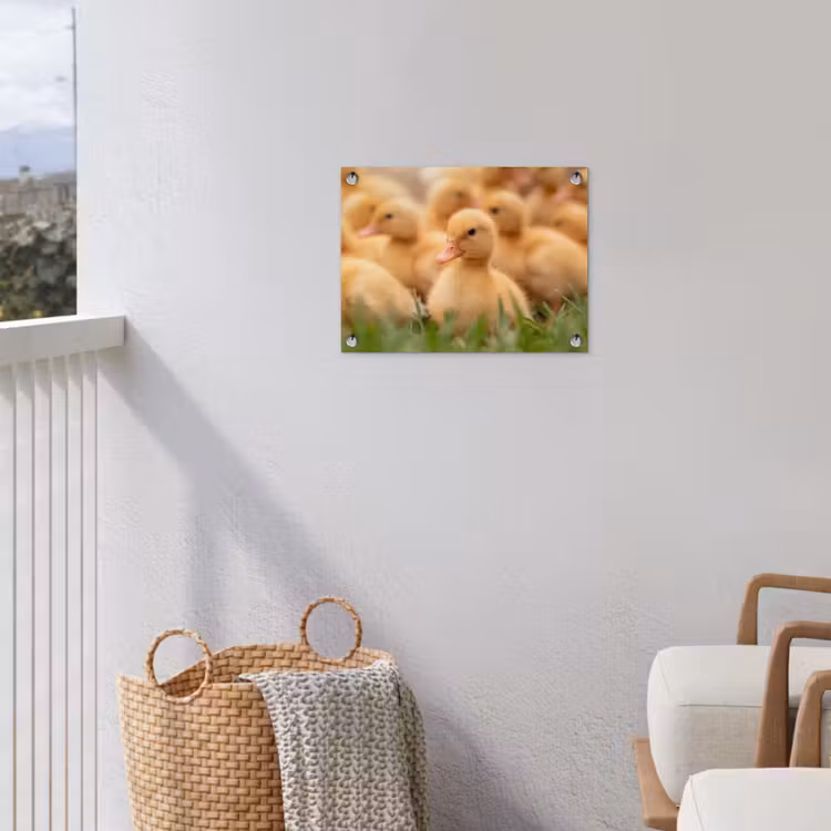 Tuinposter - Pijltje - Eend - Natuur - Geel — 3