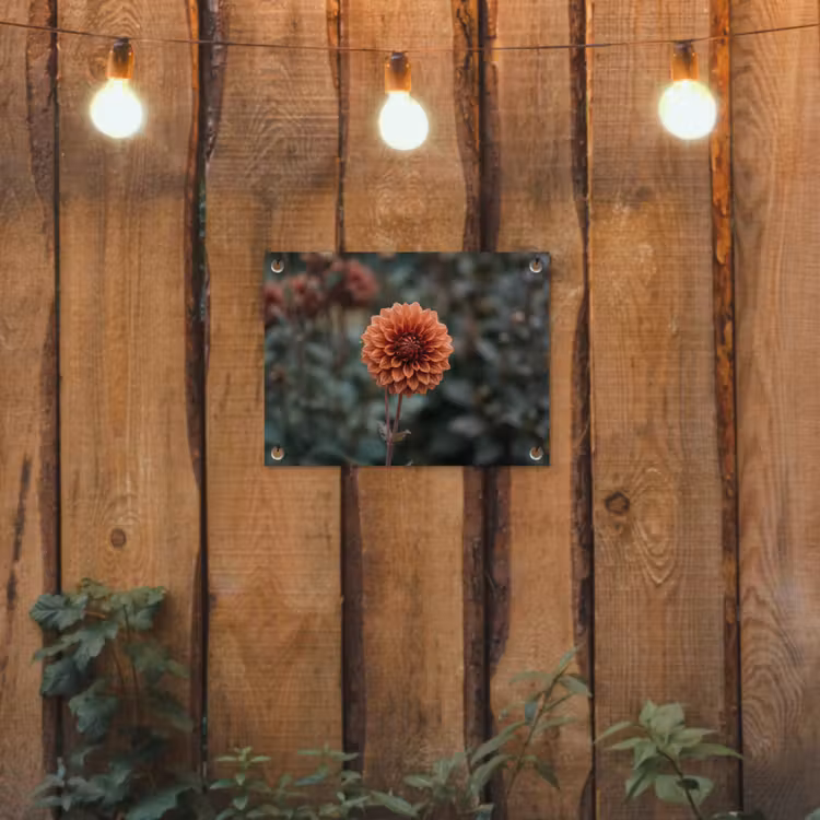 Tuinposter - Dahlia - Bloem - Natuur - Sfeervol — 2