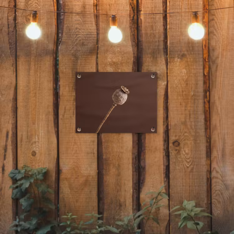 Tuinposter - Papaverbol - Droogbloem - Bruin - Minimalistisch — 2