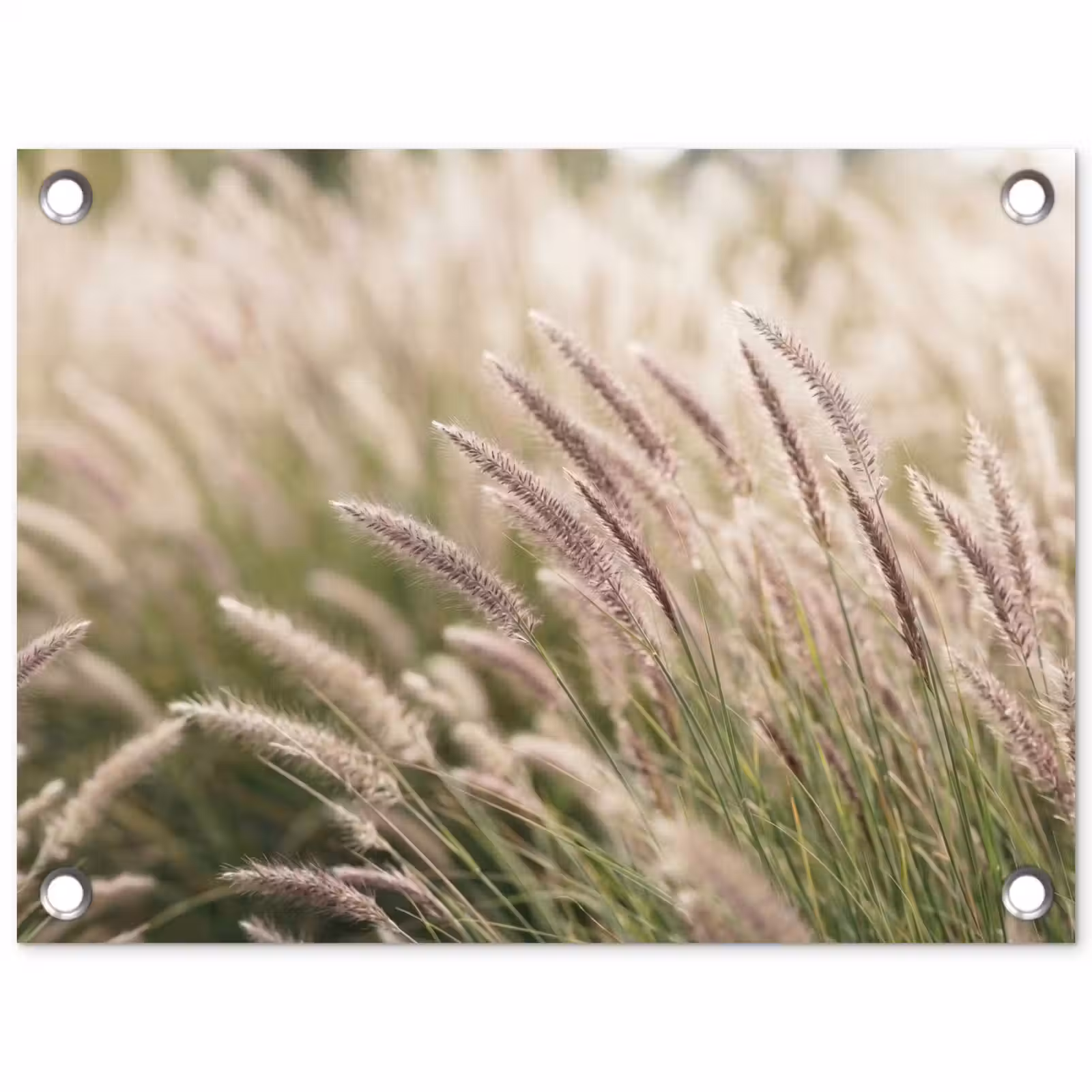 Tuinposter - Gras - Close up - Groen — 1