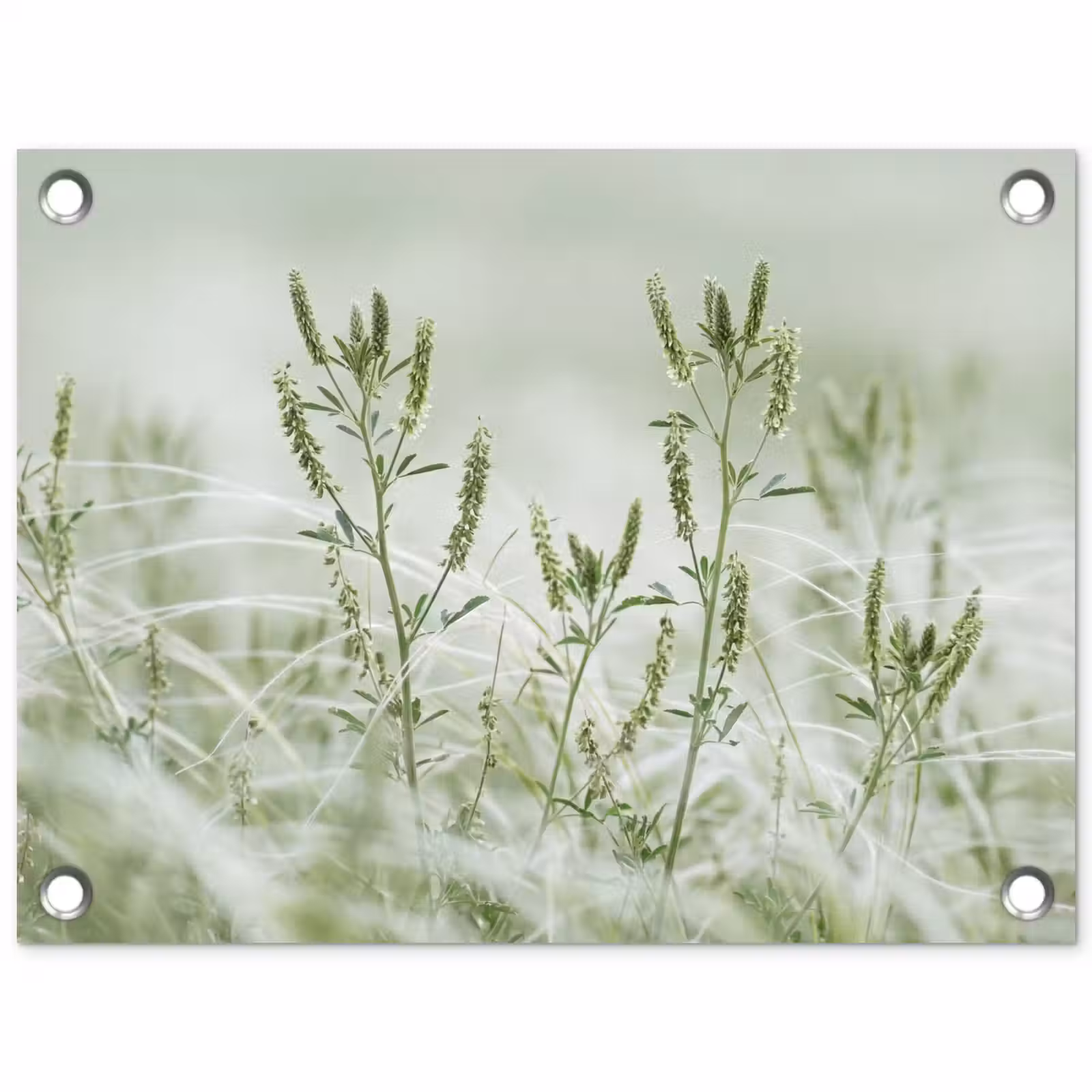 Tuinposter - Grassen - Minimalistisch - Groen — 1