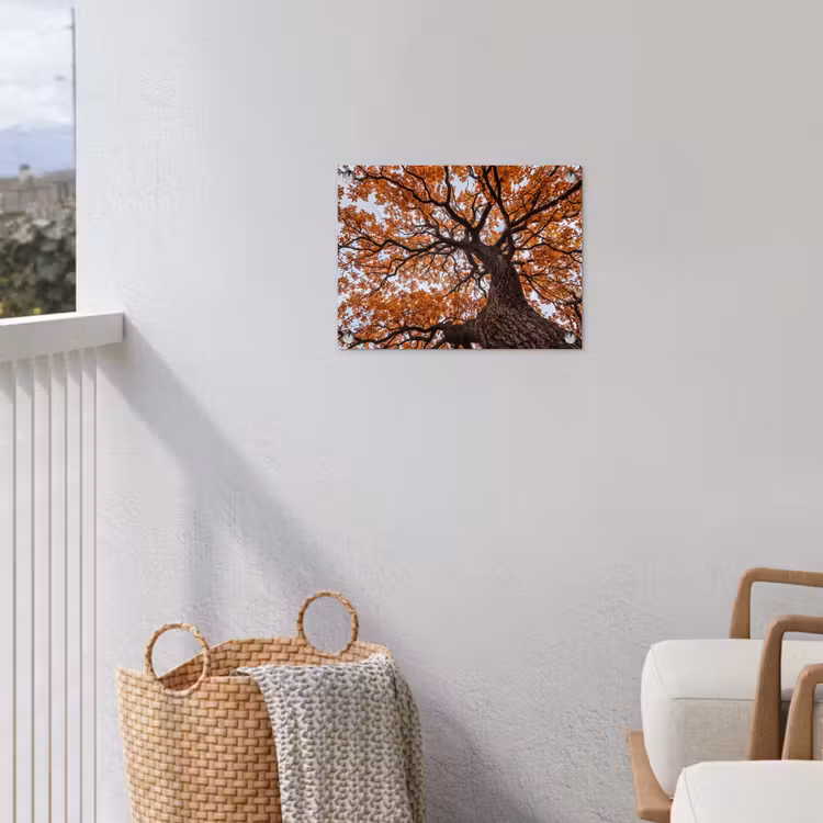 Tuinposter - Boom - Bladerdak - Herfst - Oranje - Sfeervol — 3
