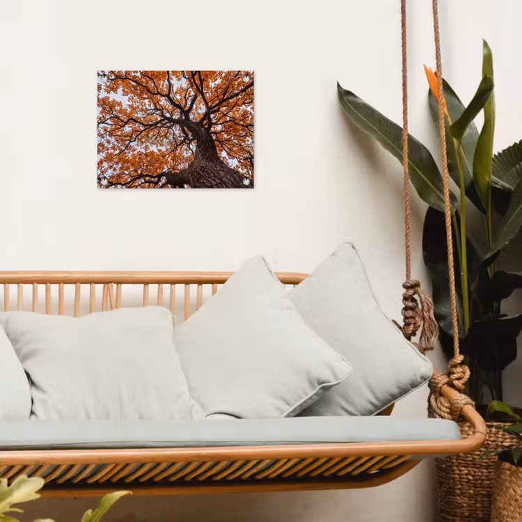 Tuinposter - Boom - Bladerdak - Herfst - Oranje - Sfeervol — 5