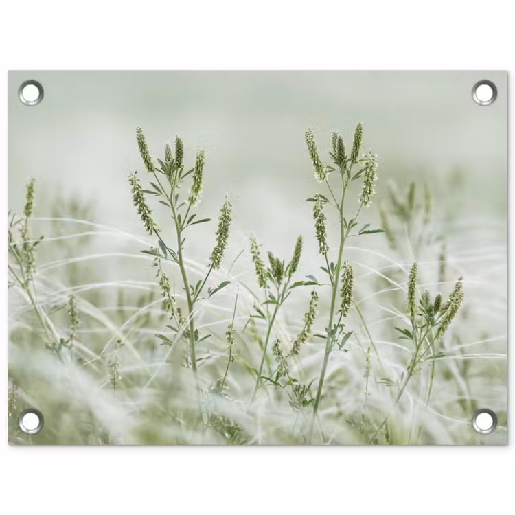 Tuinposter - Grassen - Minimalistisch - Groen — 1
