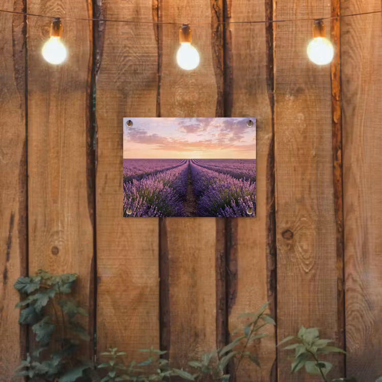 Tuinposter - Landschap - Lavendelveld - Paars — 2