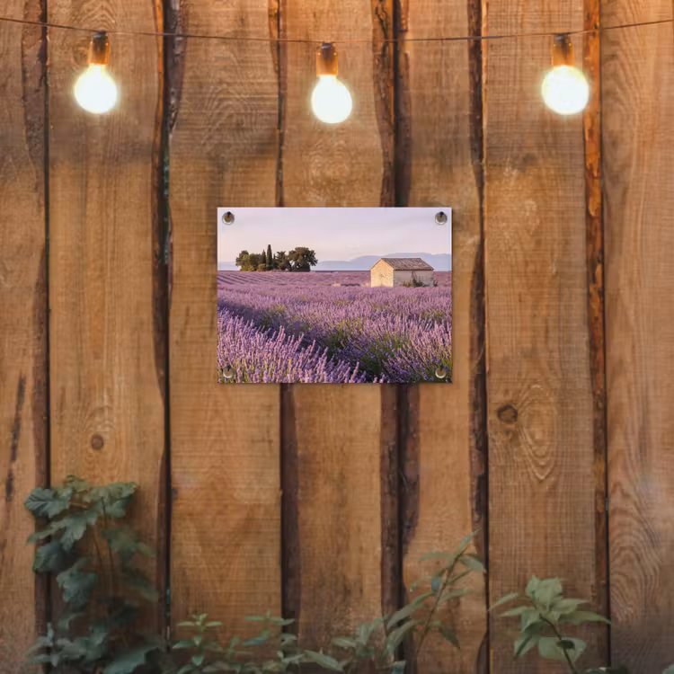 Tuinposter - Lavendel - Landschap - Sereen - Paars — 2
