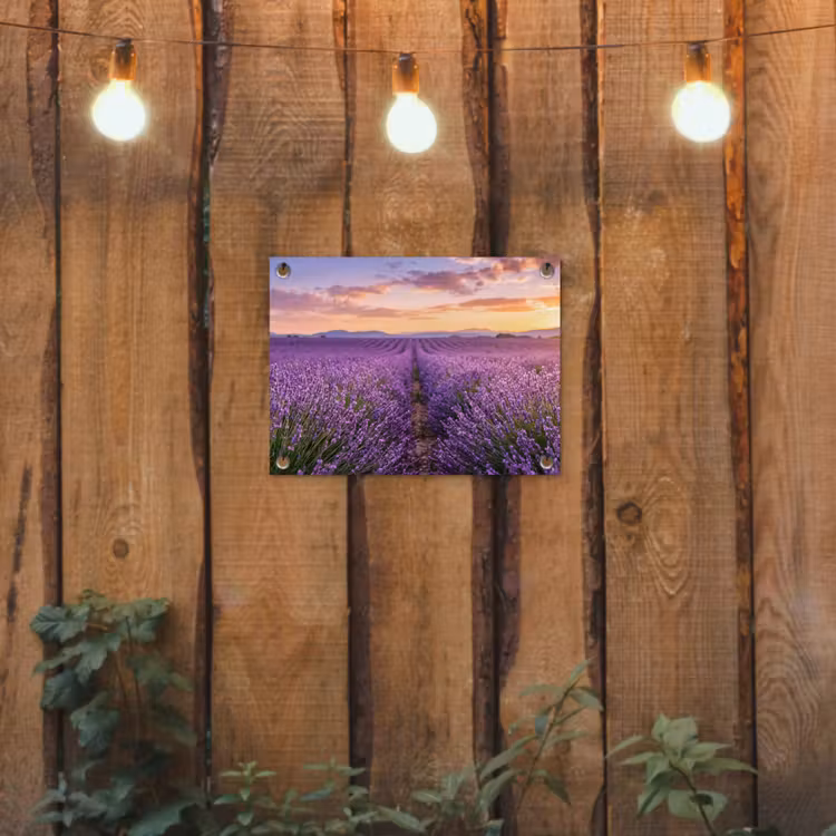 Tuinposter - Lavendel - Veld - Natuur - Paars — 2