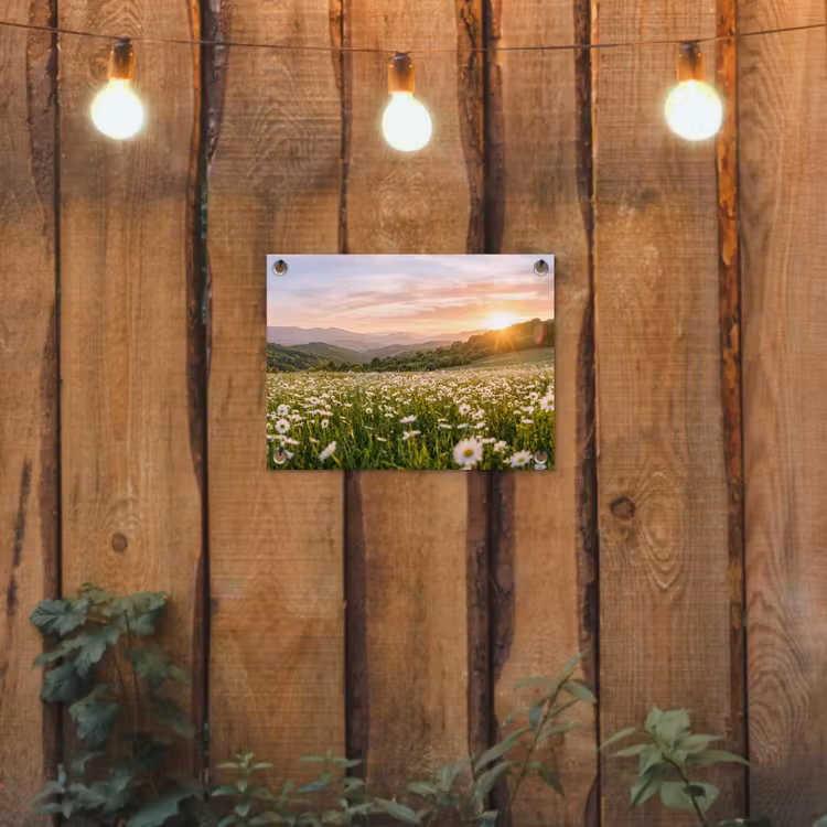 Tuinposter - Madelief - Veld - Heuvels - Groen — 2