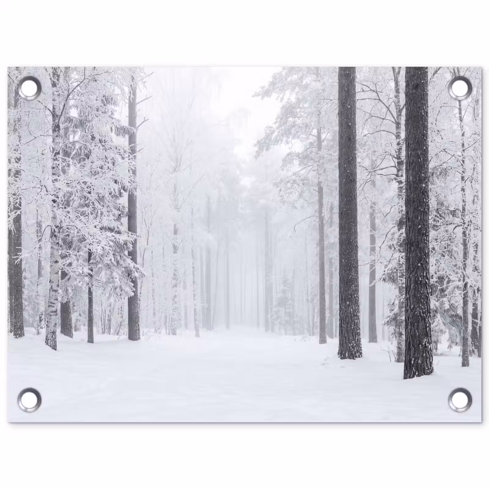 Tuinposter - Bos - Sneeuw - Pad - Winter - Stilte — 1