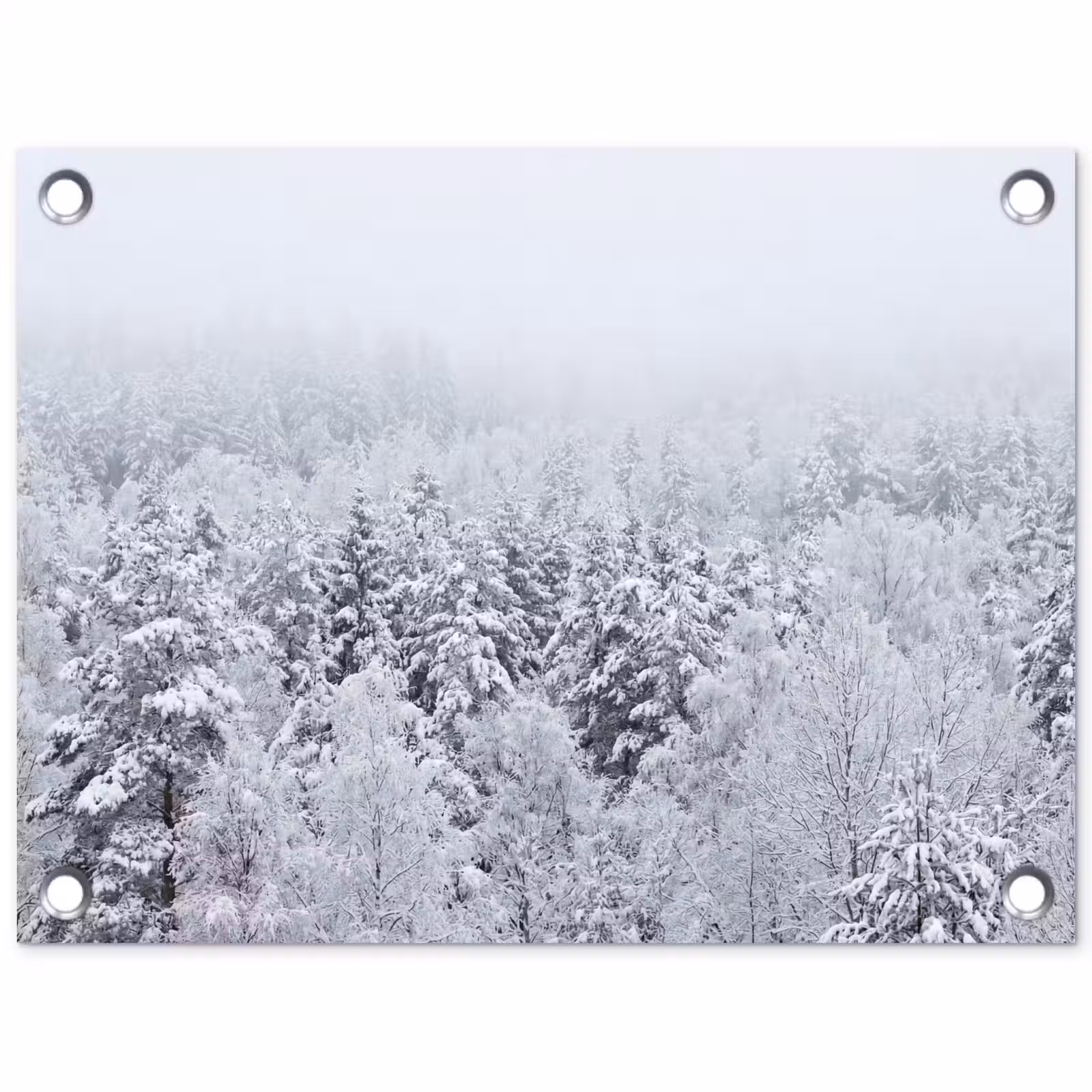 Tuinposter - Bos - Sneeuw - Winter - Natuur - Wit — 1