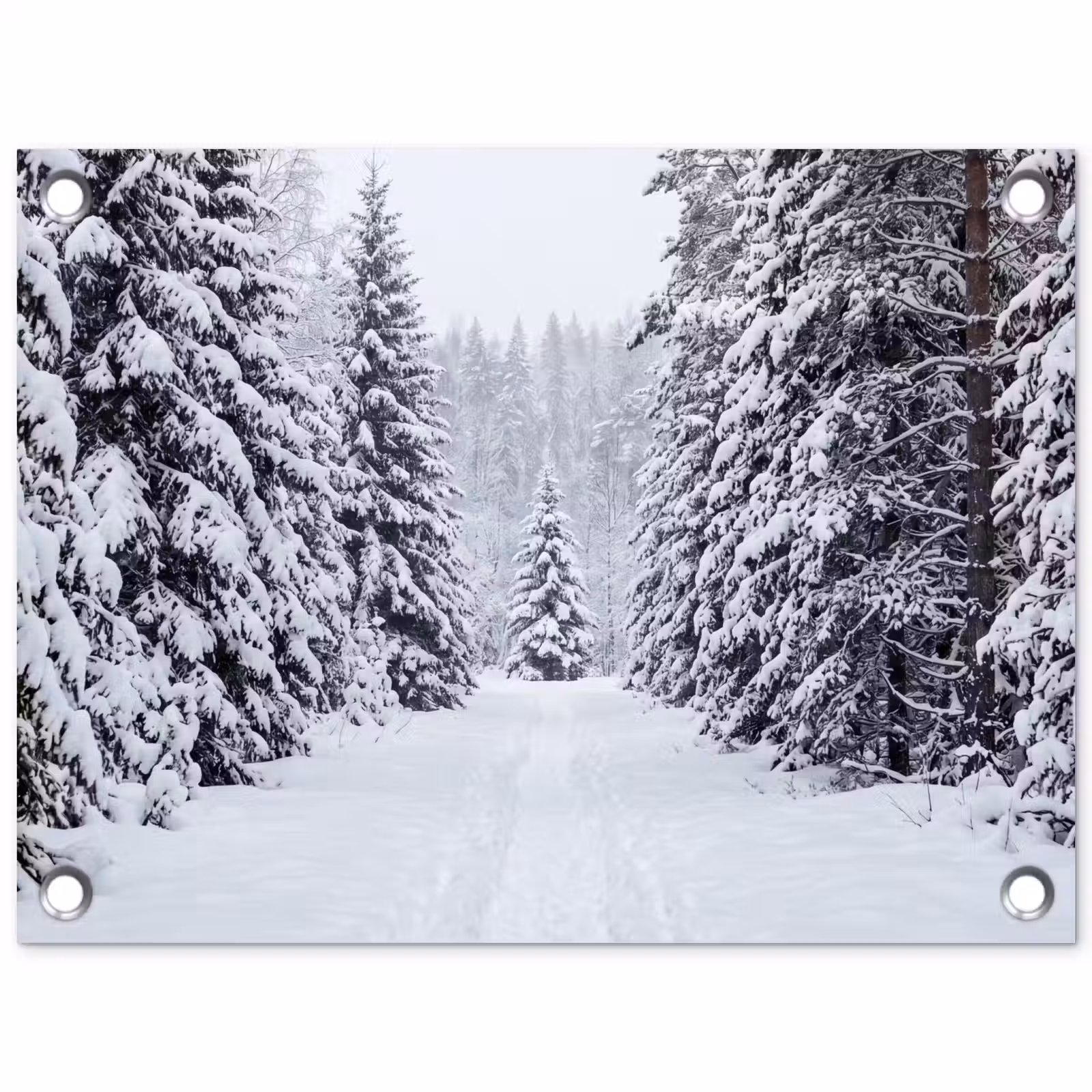 Tuinposter - Bos - Winter - Sneeuw - Pad - Natuur — 1