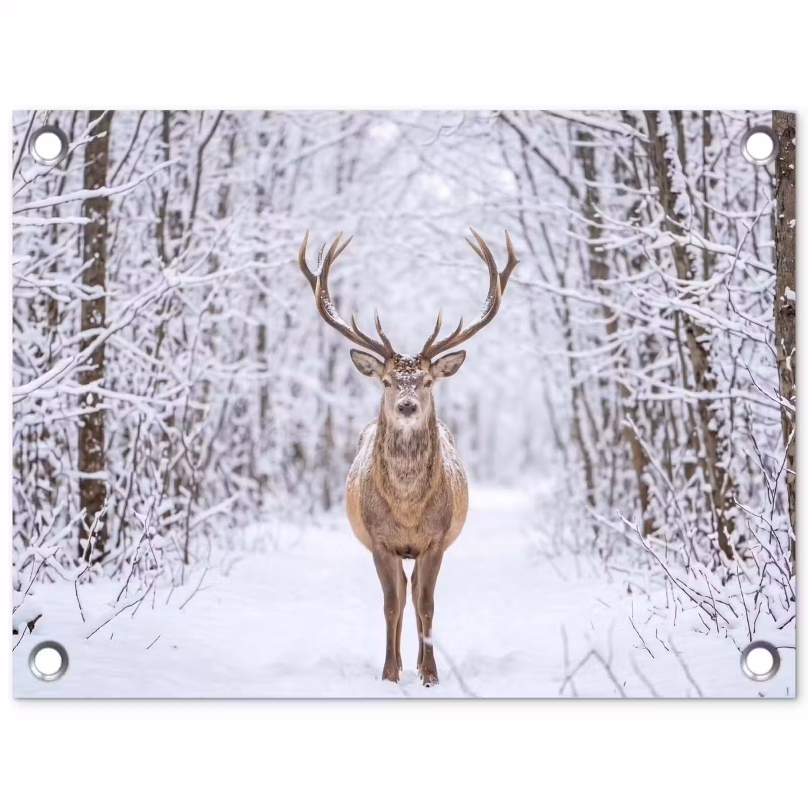 Tuinposter - Hert - Winter - Bos - Natuur - Wit — 1