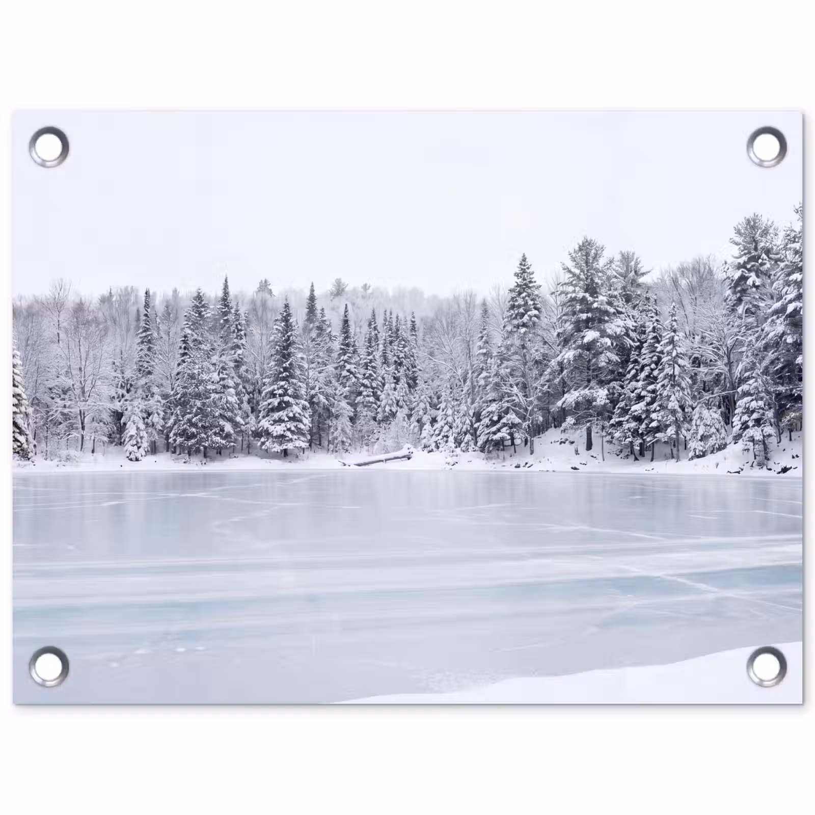 Tuinposter - Meer - Dennen - IJs - Winter - Rustgevend — 1