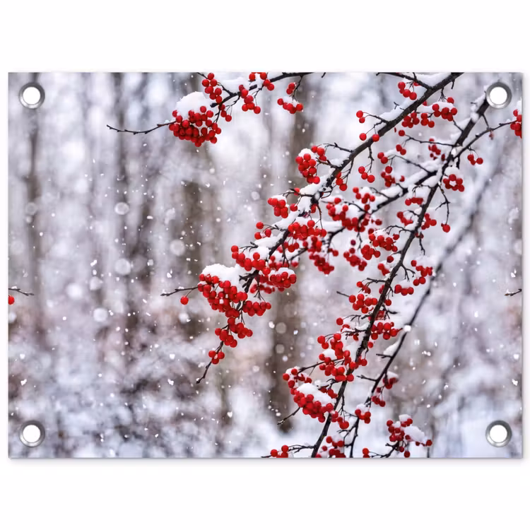 Tuinposter - Bessen - Takken - Sneeuw - Winter - Kleurrijk — 1