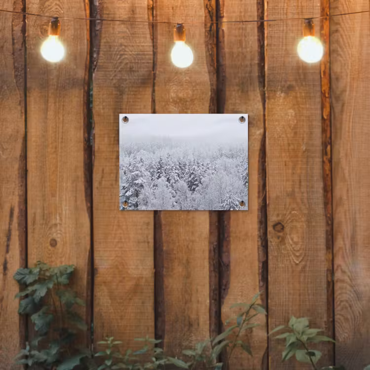 Tuinposter - Bos - Sneeuw - Winter - Natuur - Wit — 2