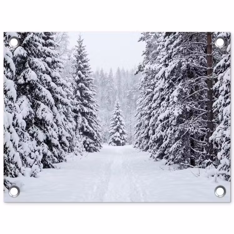 Tuinposter - Bos - Winter - Sneeuw - Pad - Natuur — 1