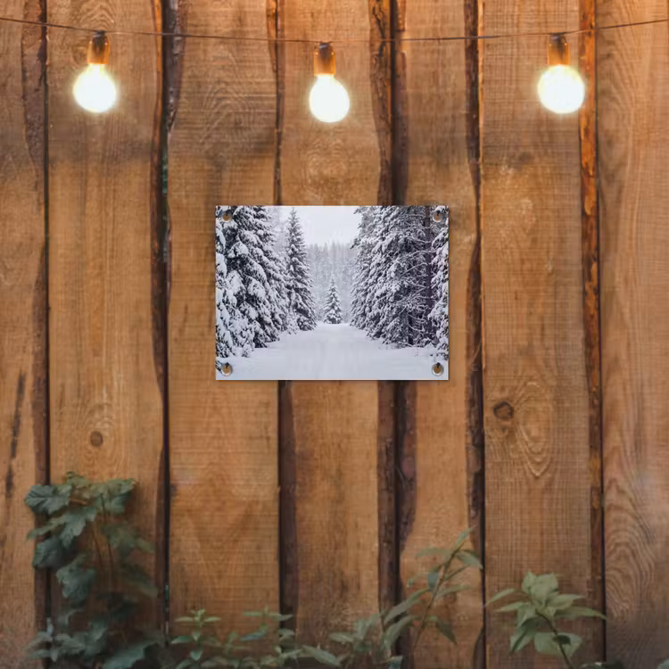 Tuinposter - Bos - Winter - Sneeuw - Pad - Natuur — 2