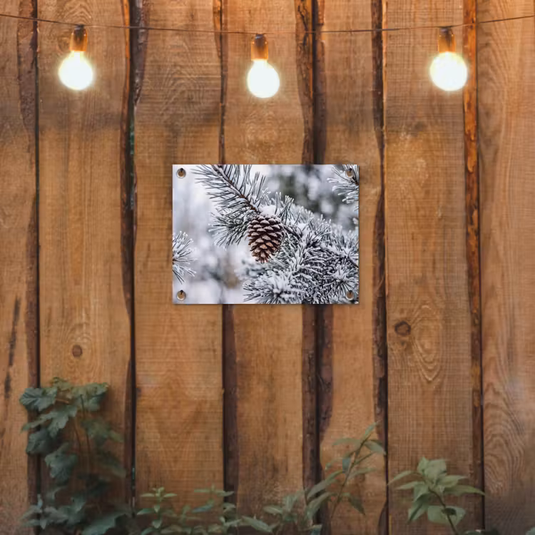 Tuinposter - Dennenappel - Tak - Sneeuw - Winter - Sfeervol — 2