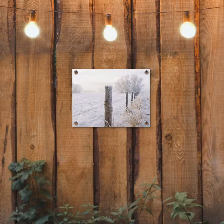 Tuinposter - Hek - Sneeuw - Mist - Platteland - Nostalgisch — 2