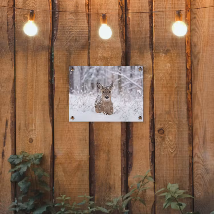 Tuinposter - Hert - Sneeuw - Bos - Dieren - Vertederend — 2