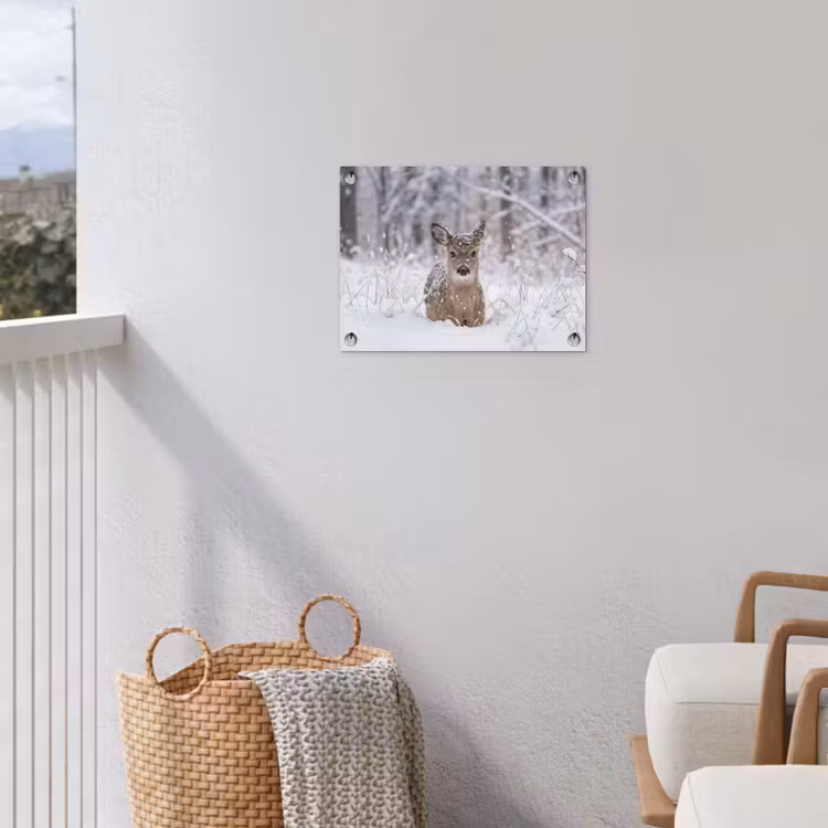 Tuinposter - Hert - Sneeuw - Bos - Dieren - Vertederend — 3