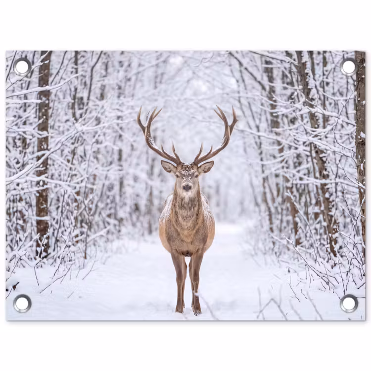 Tuinposter - Hert - Winter - Bos - Natuur - Wit — 1