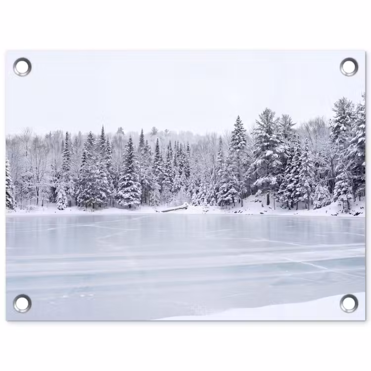 Tuinposter - Meer - Dennen - IJs - Winter - Rustgevend — 1