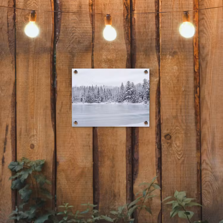 Tuinposter - Meer - Dennen - IJs - Winter - Rustgevend — 2