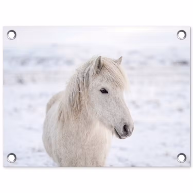 Tuinposter - Paard - Kop - Winter - Dieren - Wit — 1