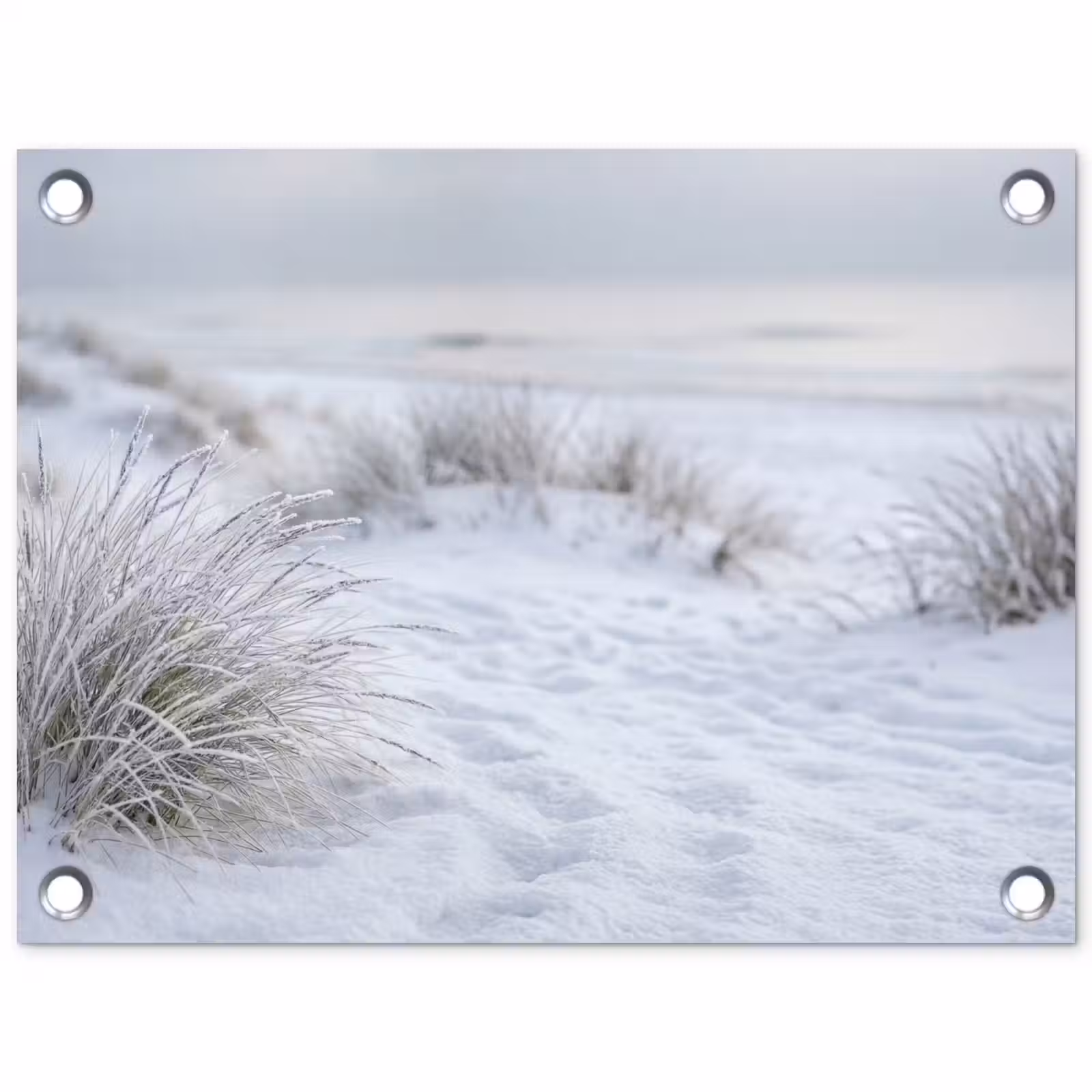 Tuinposter - Duinen - Sneeuw - Strand - Winter - Serene — 1