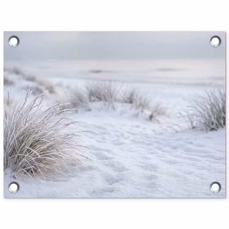 Tuinposter - Duinen - Sneeuw - Strand - Winter - Serene — 1