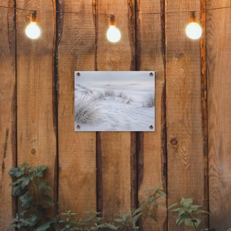 Tuinposter - Duinen - Sneeuw - Strand - Winter - Serene — 2
