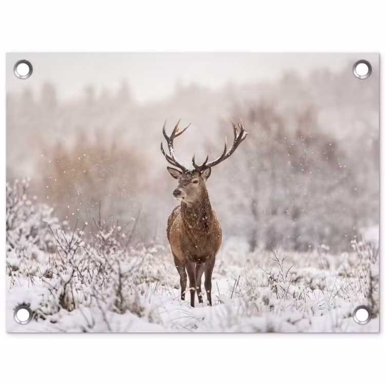 Tuinposter - Edelhert - Bos - Sneeuw - Winter - Majestueus — 1