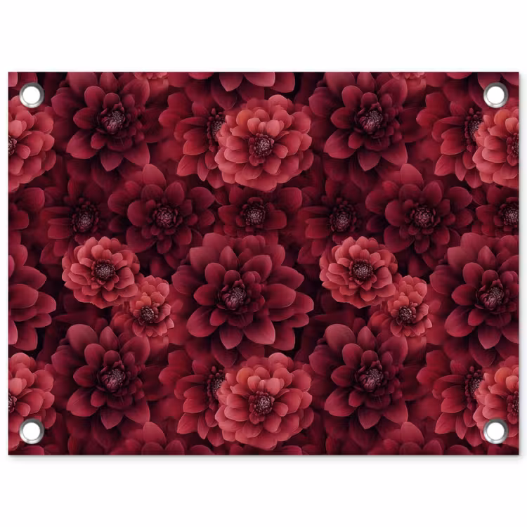 Tuinposter - Dahlias - Bloemen - Rood — 1