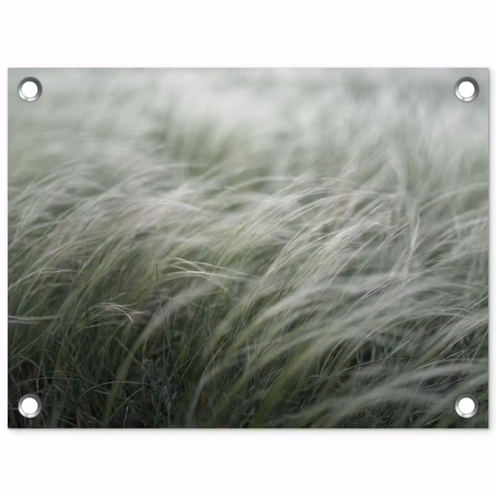 Tuinposter - Gras - Wazig - Natuur - Groen - Zacht — 1